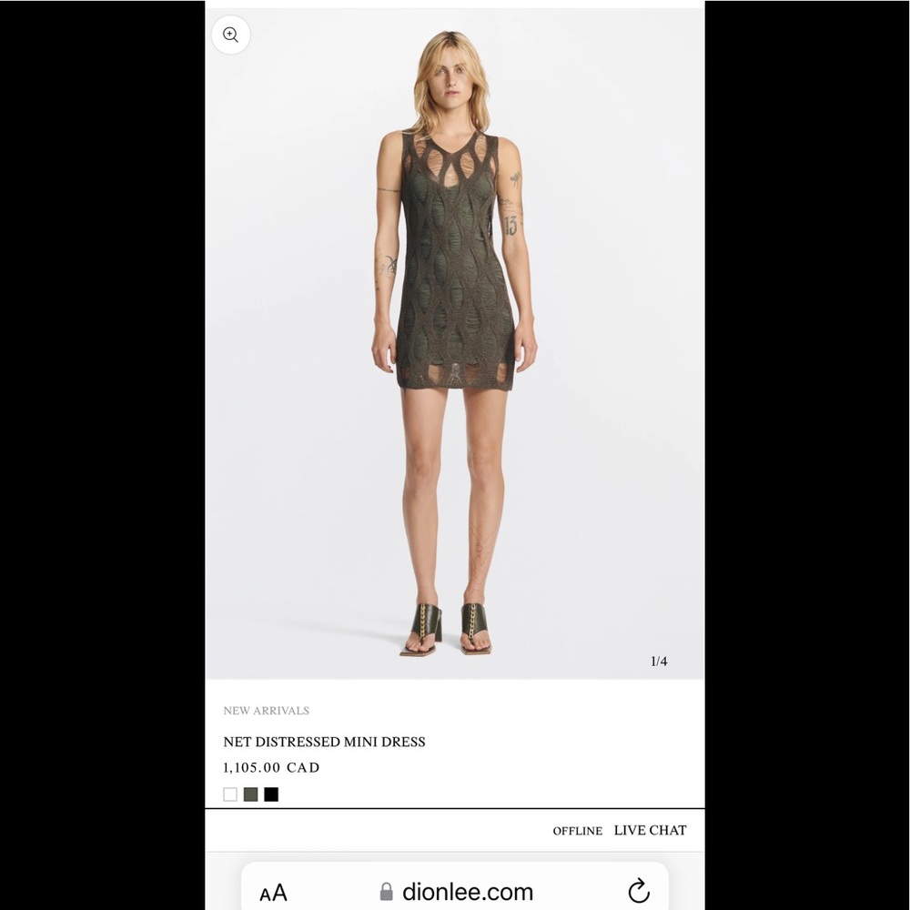 2022 spring Dion Lee NET DISTRESSED MINI Dress